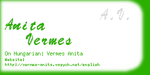 anita vermes business card